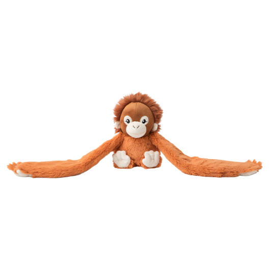 main-img-3