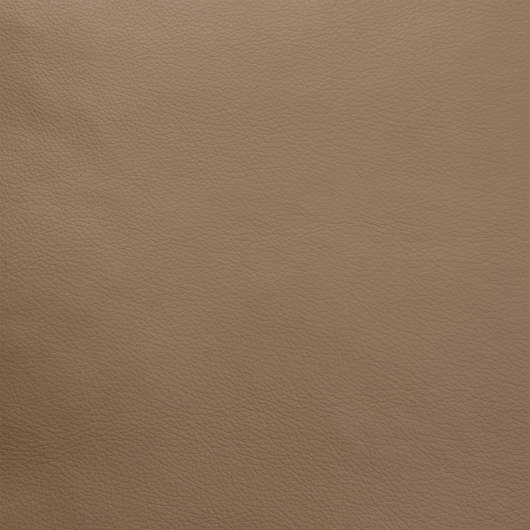 main-img-8