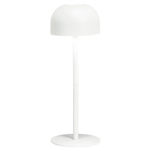 main-img-1