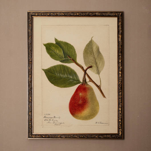 main-img-1