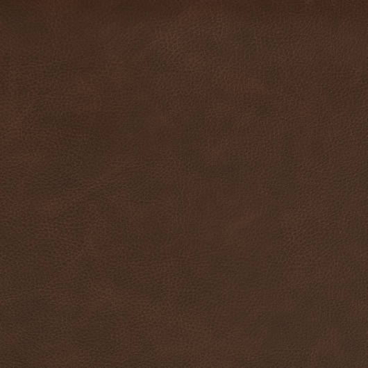 main-img-10
