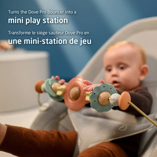 main-img-2