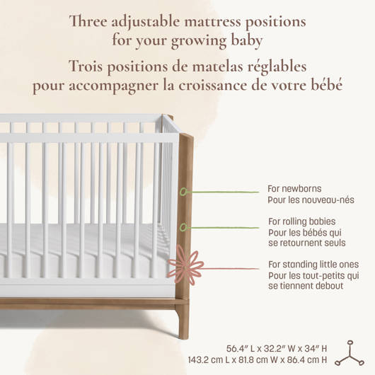 main-img-5