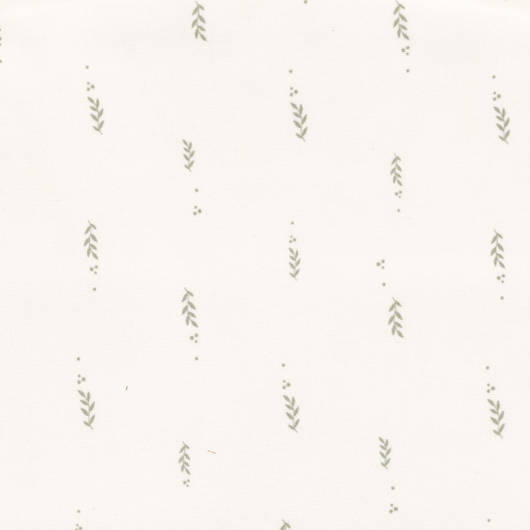 main-img-7