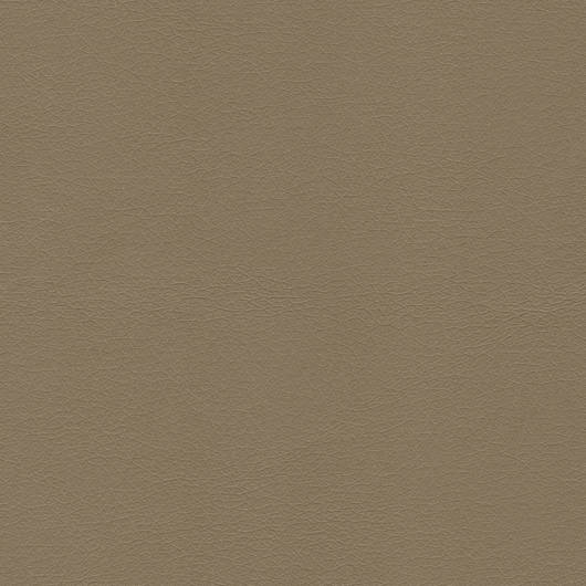 main-img-4
