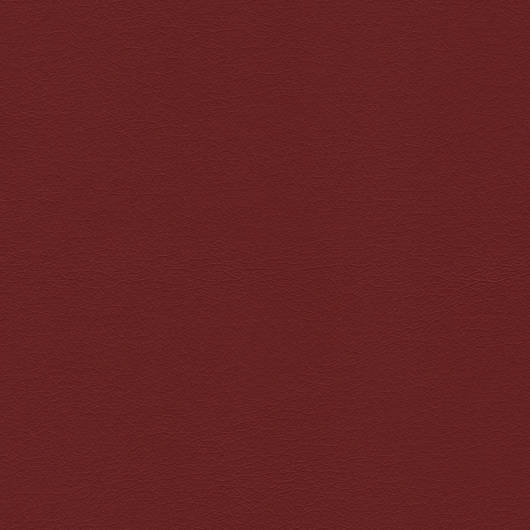 main-img-4
