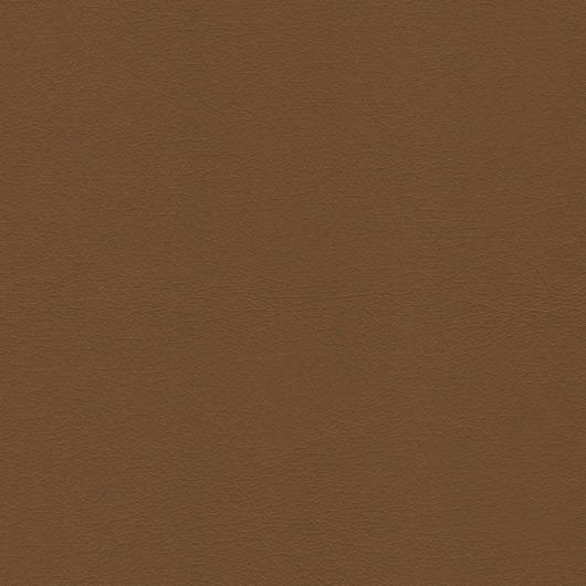 main-img-4