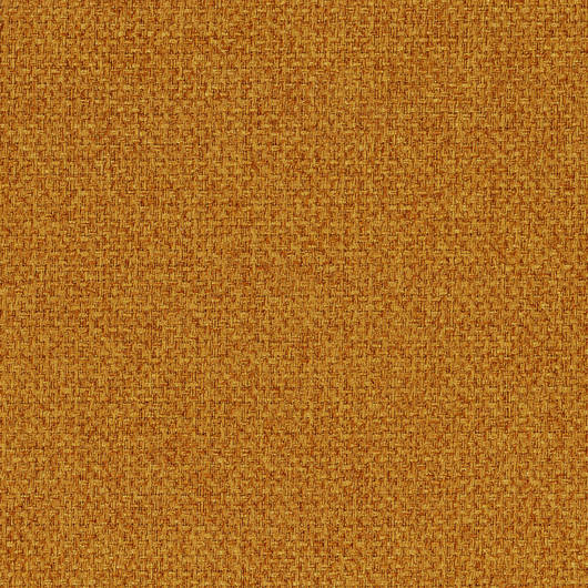 main-img-4