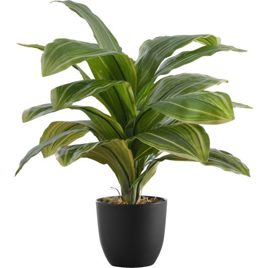 Monarch Specialties - Plante Artificielle, Calathée, Pot Noir, 24