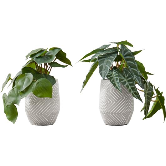 Herbe variée mini plantes assorties 3 pots feuilles plastique