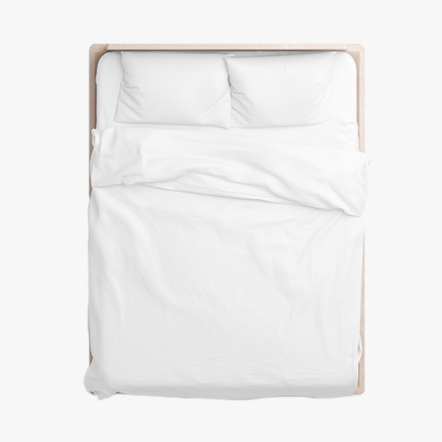 Pillows & Bedding